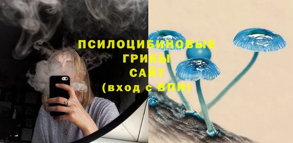 меф Каменногорск