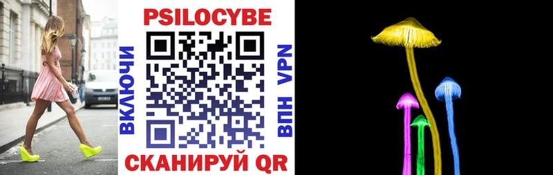 Псилоцибиновые грибы мухоморы  Купить закладки  Гремячинск 